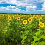 A Much-Needed Day on the Farm